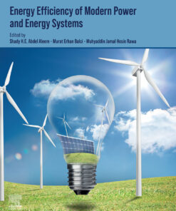 Energy Efficiency of Modern Power and Energy Systems