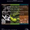 Nanoparticles Synthesis by Soil Microbes - 1st Edition