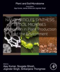 Nanoparticles Synthesis by Soil Microbes - 1st Edition