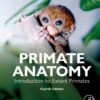 Primate Anatomy - 4th Edition