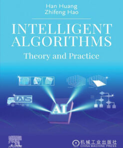 Intelligent Algorithms - 1st Edition