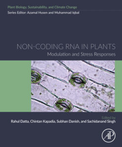 Non-coding RNA in Plants