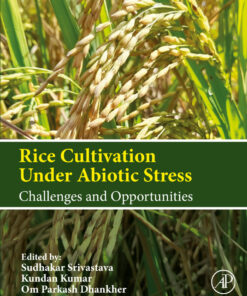 Rice Cultivation Under Abiotic Stress