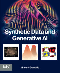 Synthetic Data and Generative AI - 1st Edition