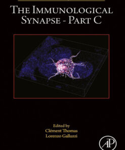 The Immunological Synapse Part C