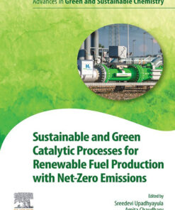 Sustainable and Green Catalytic Processes for Renewable Fuel Production with Net-Zero Emissions