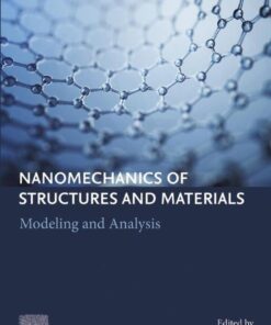 Nanomechanics of Structures and Materials - 1st Edition