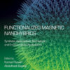 Functionalized Magnetic Nanohybrids