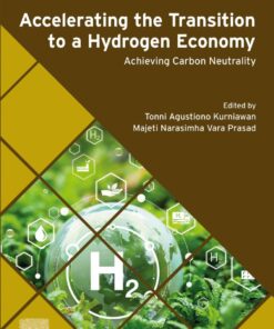 Accelerating the Transition to a Hydrogen Economy