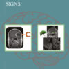 Pictorial Atlas of Neuroradiological Signs - 1st Edition