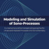 Modeling and Simulation of Sono-Processes