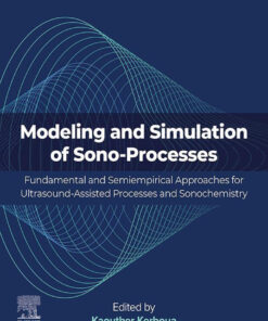 Modeling and Simulation of Sono-Processes