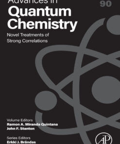 Novel Treatments of Strong Correlations - 1st Edition
