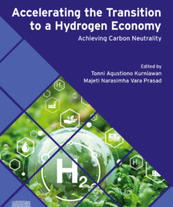 Accelerating the Transition to a Hydrogen Economy