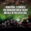 Beneficial Elements for Remediation of Heavy Metals in Polluted  Soil