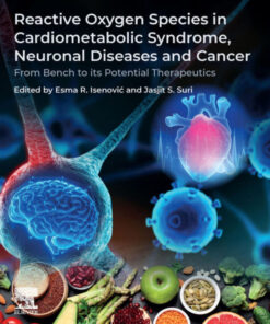 Reactive Oxygen Species in Cardiometabolic Syndrome, Neuronal Diseases and Cancer