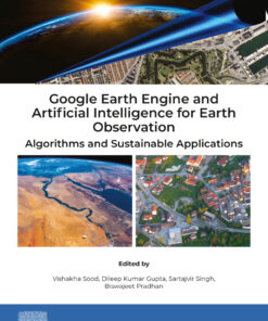 Google Earth Engine and Artificial Intelligence for Earth Observation