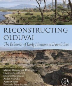 Reconstructing Olduvai - 1st Edition