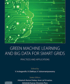 Green Machine Learning and Big Data for Smart Grids