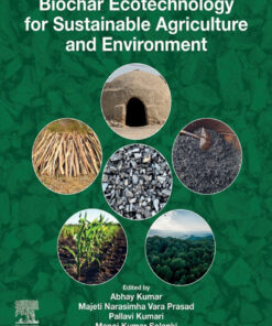 Biochar Ecotechnology for Sustainable Agriculture and Environment