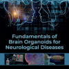 Fundamentals of Brain Organoids for Neurological Diseases