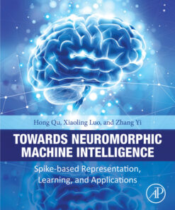 Towards Neuromorphic Machine Intelligence - 1st Edition