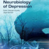 The Molecular Neurobiology of Depression