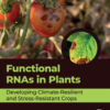 Functional RNAs in Plants