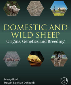 Domestic and Wild Sheep