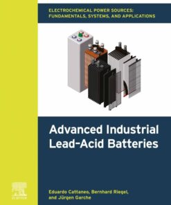 Electrochemical Power Sources: Fundamentals, Systems, and Applications