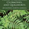 Ferns, Spikemosses, Clubmosses, and Quillworts of Eastern North America
