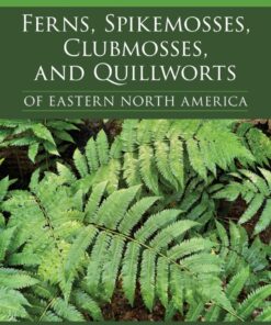 Ferns, Spikemosses, Clubmosses, and Quillworts of Eastern North America