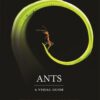 Ants