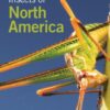 Insects of North America