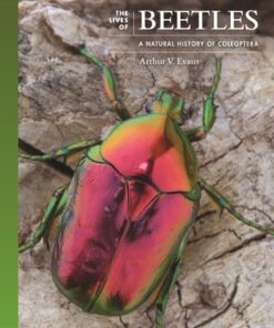 The Lives of Beetles