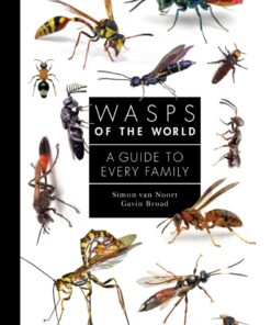 Wasps of the World