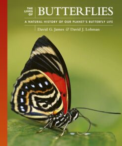 The Lives of Butterflies