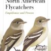 Field Guide to North American Flycatchers