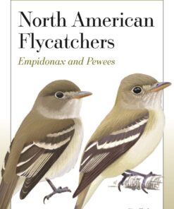 Field Guide to North American Flycatchers
