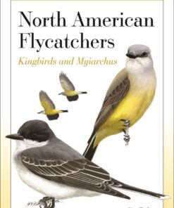 Field Guide to North American Flycatchers