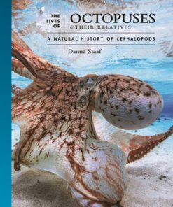 The Lives of Octopuses and Their Relatives