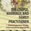 The Couple, Marriage, and Family Practitioner - 1st Edition