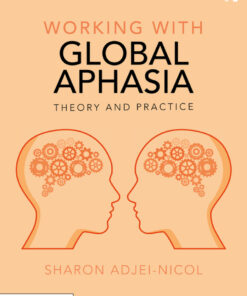 Working with Global Aphasia - 1st Edition