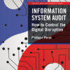 Information System Audit - 1st Edition