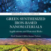 Green Synthesized Iron-based Nanomaterials - 1st Edition