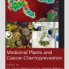 Medicinal Plants and Cancer Chemoprevention - 1st Edition