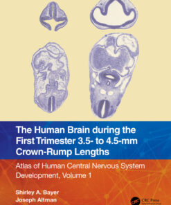 The Human Brain during the First Trimester 3.5- to 4.5-mm Crown-Rump Lengths - 1st Edition