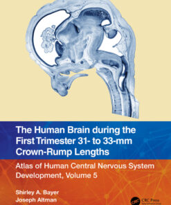 The Human Brain during the First Trimester 31- to 33-mm Crown-Rump Lengths - 1st Edition