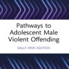 Pathways to Adolescent Male Violent Offending - 1st Edition