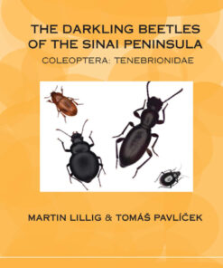 The Darkling Beetles of the Sinai Peninsula - 1st Edition